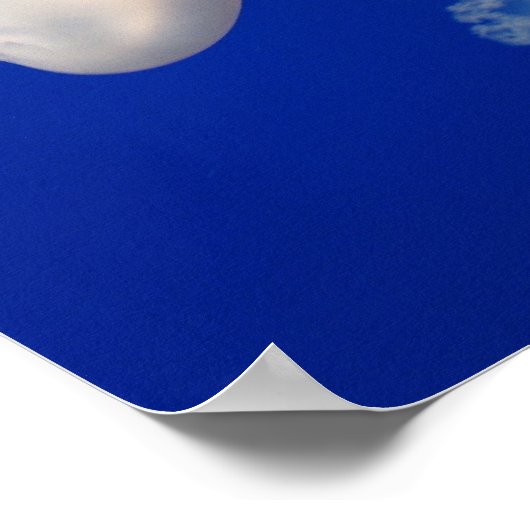 Moon Jellies Poster (Ecke)