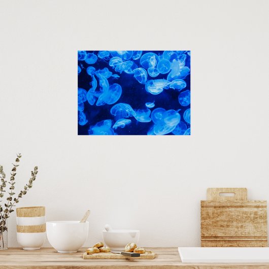 Moon Jelly Fish Poster (Küche)