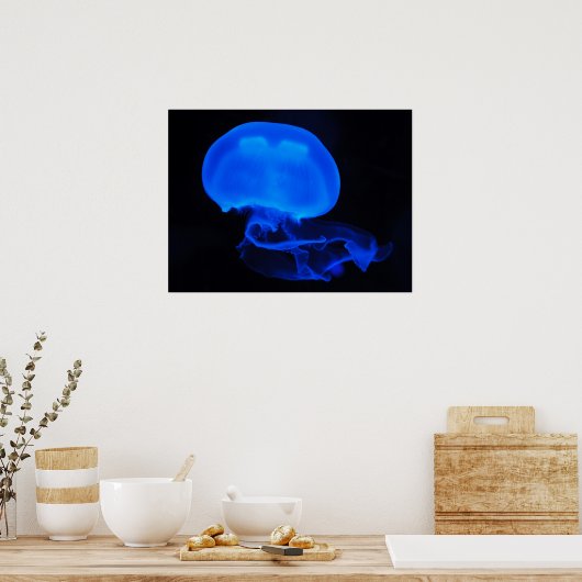 Moon Jelly Fish Poster (Küche)