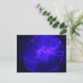 Moon Jellyfish # 26 Postkarte (Stehend Vorderseite)