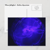 Moon Jellyfish # 26 Postkarte (Vorne/Hinten)