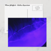 Moon Jellyfish # 28 Postkarte (Vorne/Hinten)