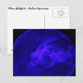 Moon Jellyfish # 32 Postkarte (Vorne/Hinten)