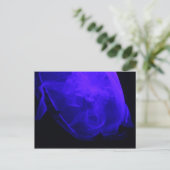 Moon Jellyfish # 3 Postkarte (Stehend Vorderseite)