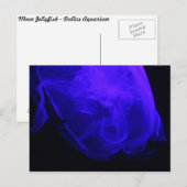 Moon Jellyfish # 3 Postkarte (Vorne/Hinten)