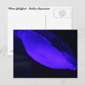 Moon Jellyfish # 5 Postkarte (Vorne/Hinten)