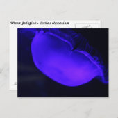 Moon Jellyfish # 6 Postkarte (Vorne/Hinten)