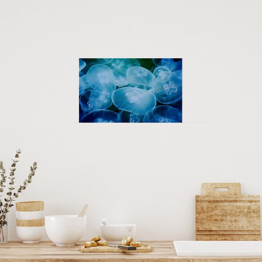 Moon Jellyfish Poster (Küche)