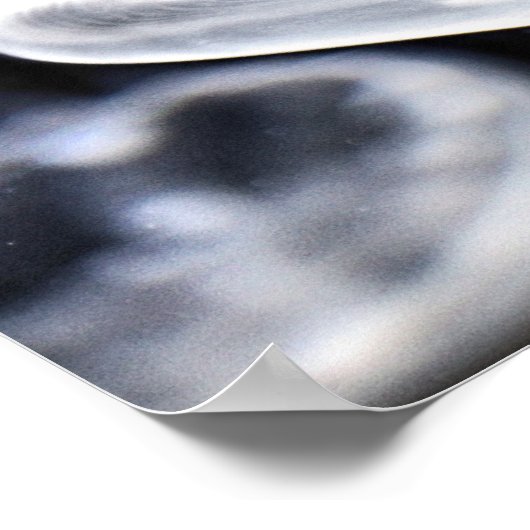 Moon Jellyfish Poster (Ecke)