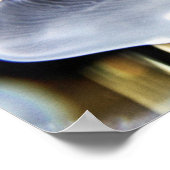 Moon Jellyfish Poster (Ecke)