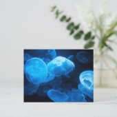 Moon Jellyfish Postkarte (Stehend Vorderseite)
