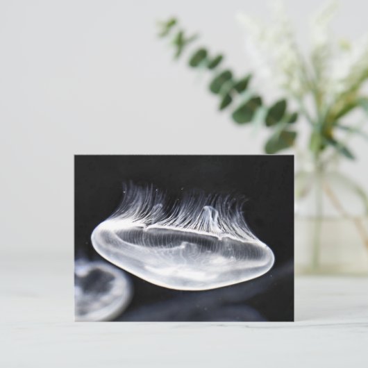 Moon Jellyfish Postkarte (Stehend Vorderseite)