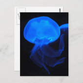 Moon Jellyfish Postkarte (Vorne/Hinten)