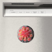Moon-Kaktus-Magnet Magnet (In Situ (Geschirrspüler))
