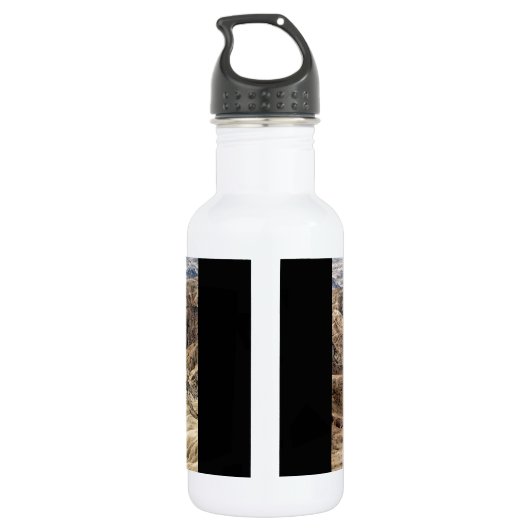 Moon Landscape Edelstahlflasche (Rückseite)