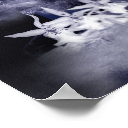 Moon Light Fairy Poster (Ecke)