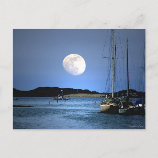 Moon Light Harbour Postkarte (Vorderseite)