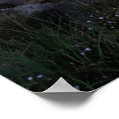 Moon Lit White Point Beach Fine Art Print Poster (Ecke)