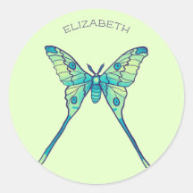 Moon Moth Magie - Schmetterling Lover Art