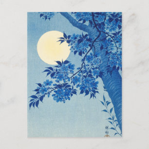 Moon Night Abend Tree Blue Moonlit Postkarte