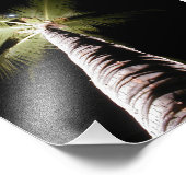 Moon Over Palm Print Fotodruck (Ecke)
