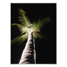 Moon Over Palm Print