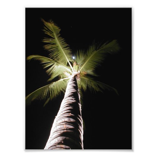 Moon Over Palm Print Fotodruck (Vorne)