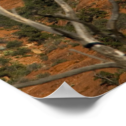 Moon Over Snoopy Rock 3946 Poster (Ecke)