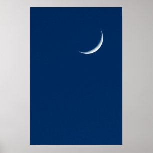 Moon Poster