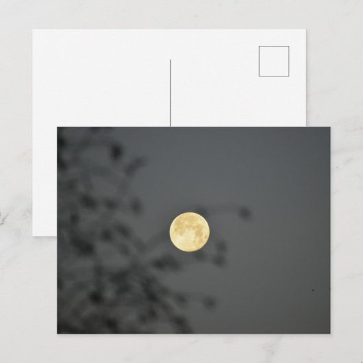 Moon Postkarte (Vorne/Hinten)