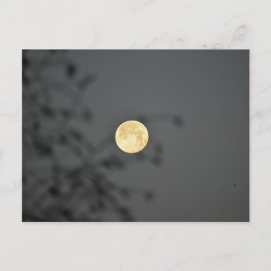 Moon Postkarte (Vorderseite)
