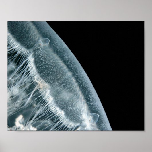 Moon Rise - Fine Art Print Poster (Vorne)