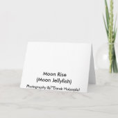 Moon Rise Karte (Rückseite)
