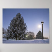 Moon Rise Poster (Vorne)