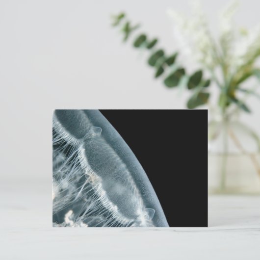 Moon Rise Postkarte (Stehend Vorderseite)