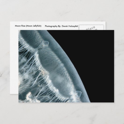 Moon Rise Postkarte (Vorne/Hinten)