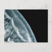 Moon Rise Postkarte (Vorderseite)