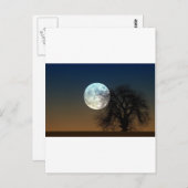 Moon Rise Postkarte (Vorne/Hinten)