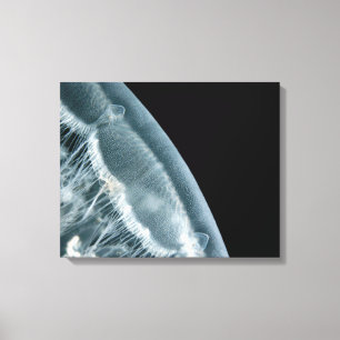 Moon Rise Wrapped Canvas Leinwanddruck