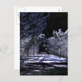 Moon Shadows Postkarte