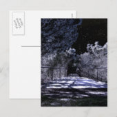 Moon Shadows Postkarte (Vorne/Hinten)