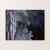 Moon Shadows - Puzzle (Horizontal)