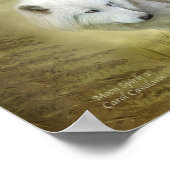 Moon Spirit 2 - White Wolf Fine Art Poster/Print Poster (Ecke)