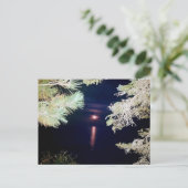 Moon Through the Pines of Big Bay 2023 Postcard Postkarte (Stehend Vorderseite)