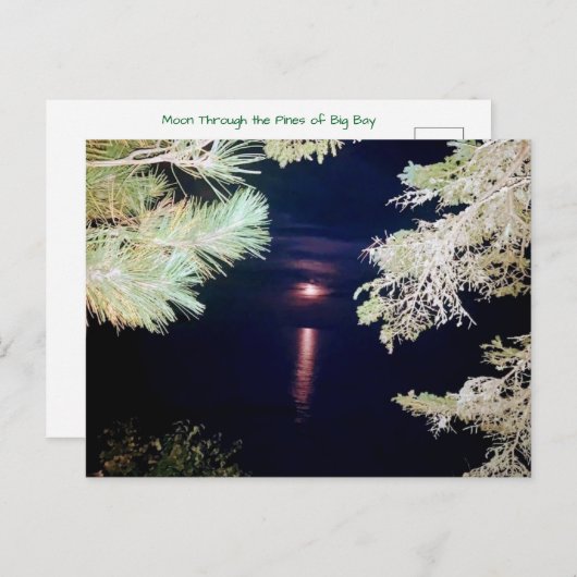 Moon Through the Pines of Big Bay 2023 Postcard Postkarte (Vorne/Hinten)