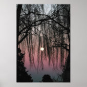 Moon Through Trees Fotografy Poster (Vorne)