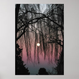 Moon Through Trees Fotografy Poster
