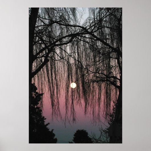 Moon Through Trees Fotografy Poster (Vorne)