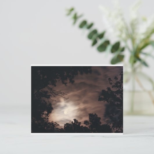 Moon über Charleston Postkarte (Stehend Vorderseite)