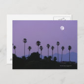 Moon über Palmen an der Dämmerung, Hollywood Postkarte (Vorne/Hinten)